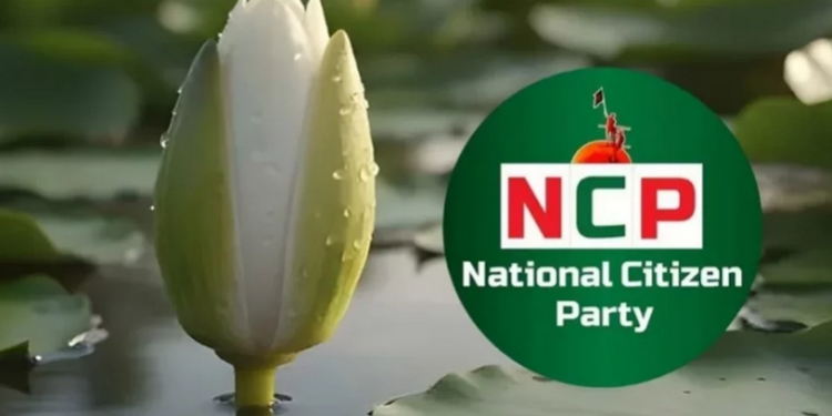 চতুর্দশ সংসদ নির্বাচন থেকে তত্ত্বাবধায়ক ব্যবস্থা চান বিএনপিপন্থি আইনজীবীরা